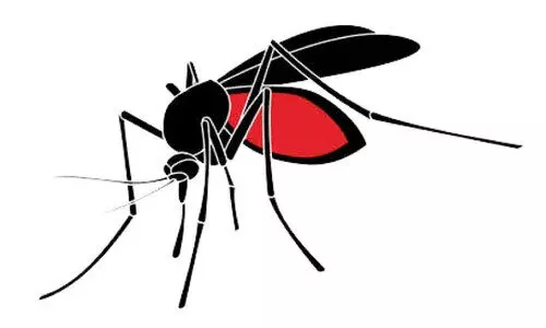 കൊതുകിനെ തുരത്തൂ, സമ്മാനം നേടൂ കൊതുകിനെ തുരത്തൂ, സമ്മാനം നേടൂ