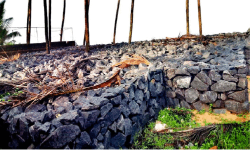 Coastal residents Coastal residents