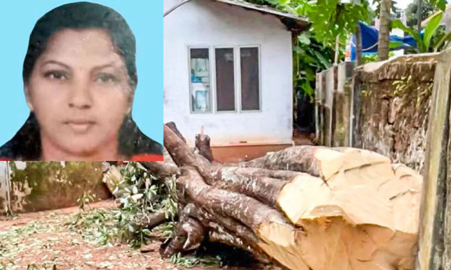 വെട്ടിമാറ്റുന്നതിനിടെ പുളിമരം ദേഹത്തേക്ക് വീണ് വീട്ടമ്മക്ക് ദാരുണാന്ത്യം; രണ്ടുപേർക്ക് പരിക്ക്