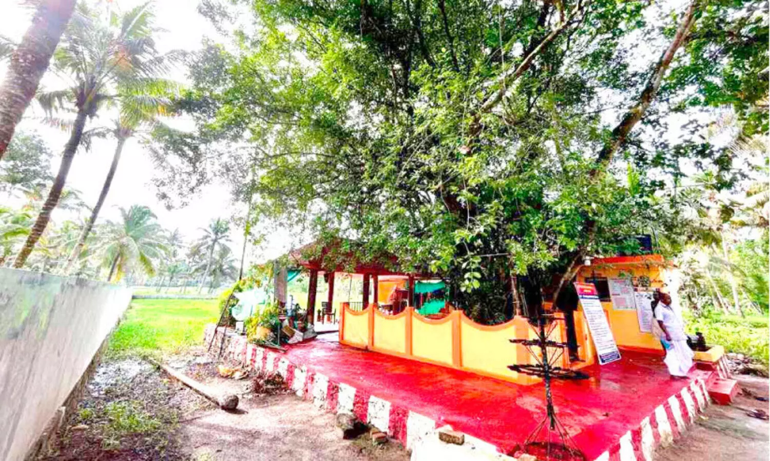 പ്രകൃതിമനോഹാരിതയുടെ ചിറക്കക്കുറ്റി; ദൃശ്യഭംഗിയുമായി വേതാളൻകാവ്