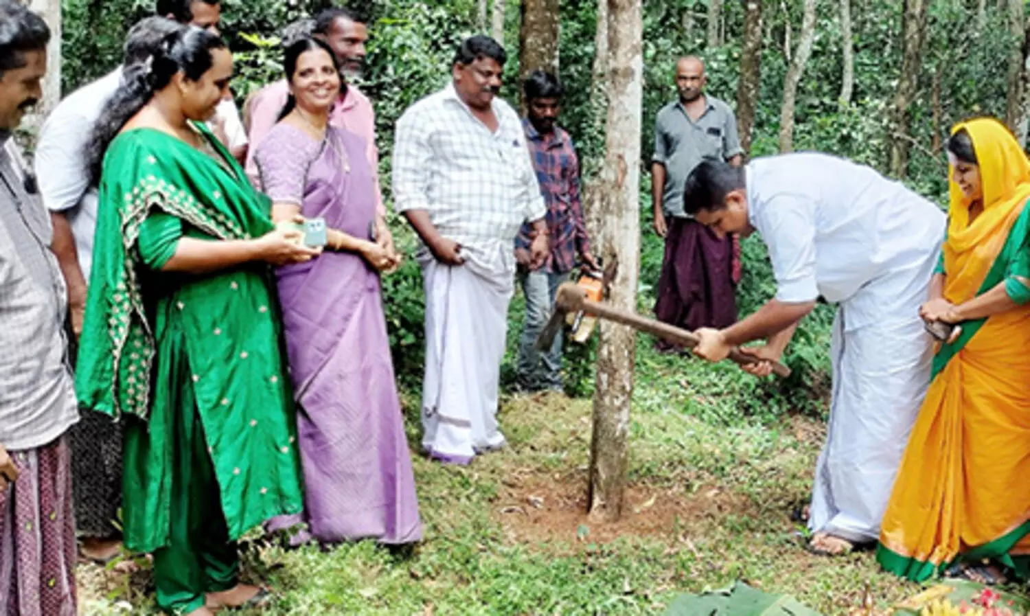 അക്കേഷ്യാ മരങ്ങള്‍ മുറിച്ചു മാറ്റല്‍ ആരംഭിച്ചു