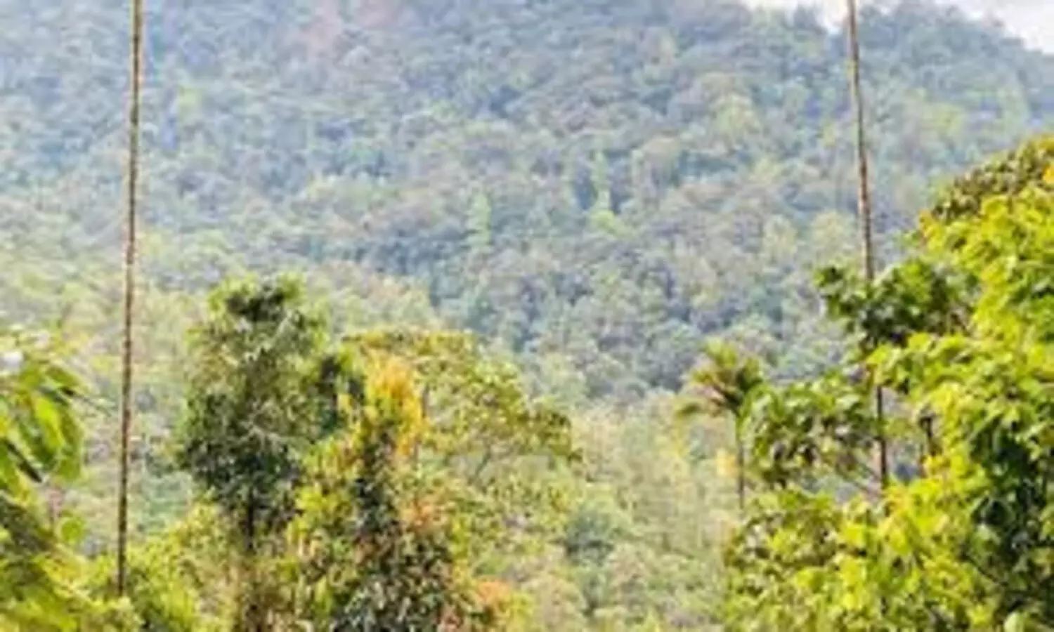 സ്വകാര്യവനങ്ങള്‍ (നിക്ഷിപ്തമാക്കലും പതിച്ചുകൊടുക്കലും) ഭേദഗതി ബില്ലിന് ഗവർണറുടെ അനുമതി