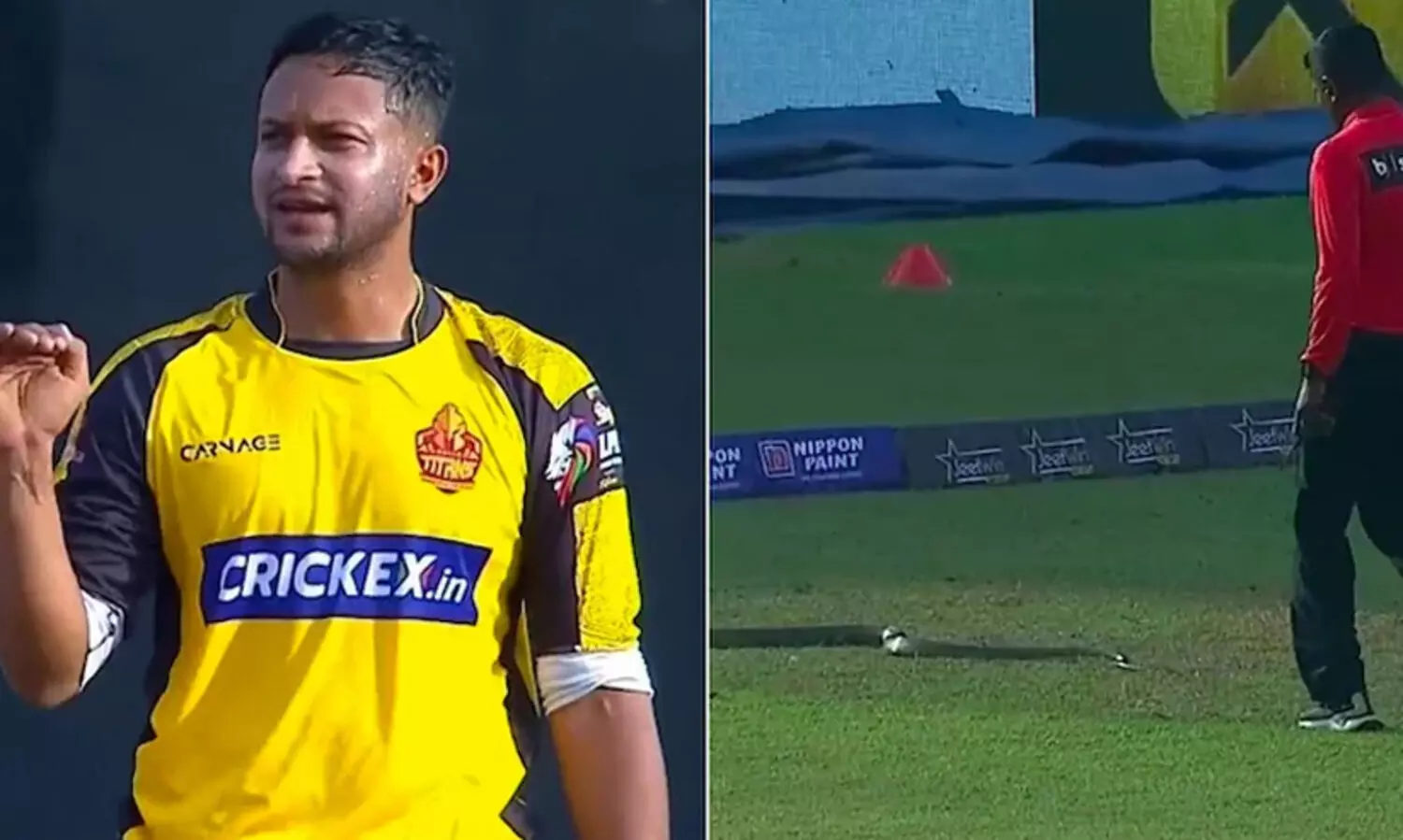 ഗ്രൗണ്ടിൽ പാമ്പിറങ്ങി; ട്വന്റി 20 പ്രീമിയർ ലീഗിനിടെ നാടകീയ രംഗങ്ങൾ -Video