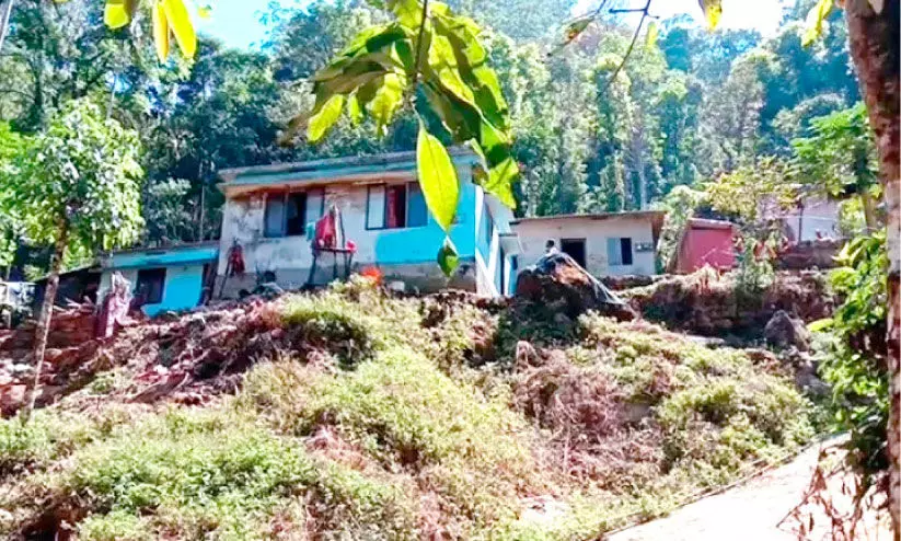 ഈ ​ആ​ദി​വാ​സി കോ​ള​നി​ക​ളി​ലും ജീ​വി​ത​മു​ണ്ട്