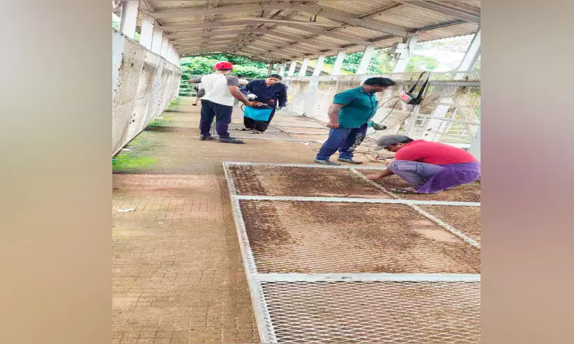 കോട്ടിക്കുളം റെയിൽവേ നടപ്പാലത്തിലെ അറ്റകുറ്റപ്പണി തുടങ്ങി