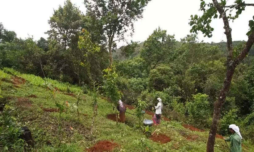 കാടിന്റെ മക്കൾക്കിന്നും കാട്ടരുവിയിലെ വെള്ളവും കാനനപാതയും