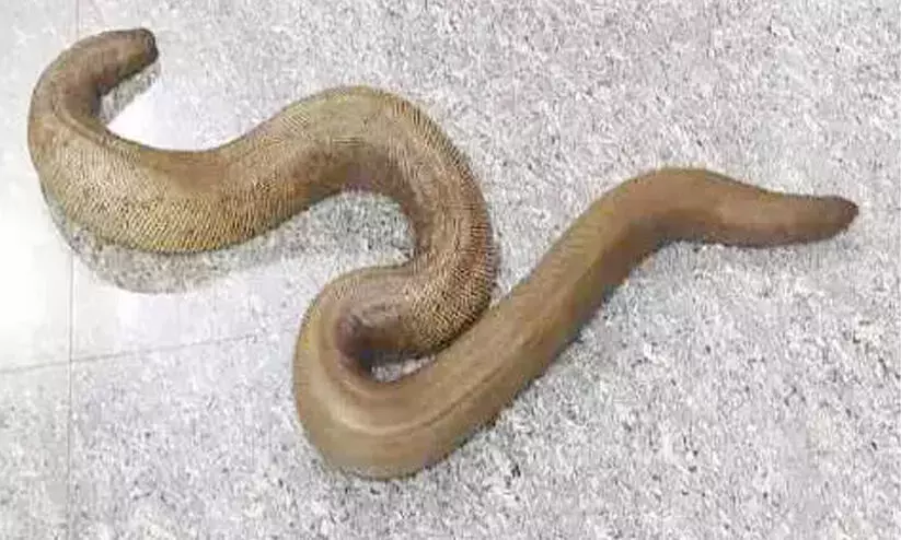 iruthala moori iruthala moori