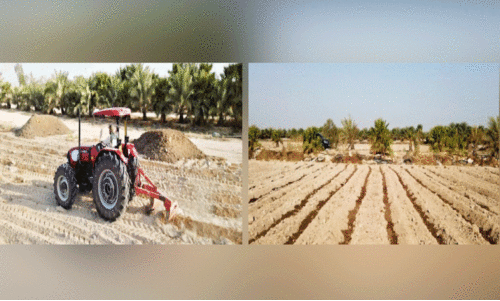 agriculture sector agriculture sector