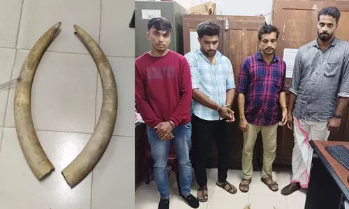 1.60 കോടിയുടെ ആനക്കൊമ്പുമായി നാലുപേർ പിടിയിൽ