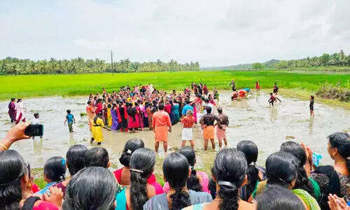‘മഴപ്പൊലിമ’യുടെ താളത്തിമിർപ്പിൽ വയലേലകൾ