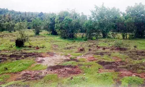 ബിരിക്കുളത്ത് അഗ്നിരക്ഷ സേന നിലയത്തിന് സർക്കാറിന്റെ പച്ചക്കൊടി