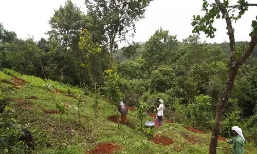 കാടിന്റെ മക്കൾക്കിന്നും കാട്ടരുവിയിലെ വെള്ളവും കാനനപാതയും