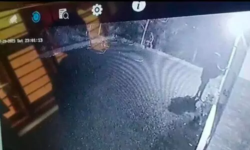 ചെറുപുഴയിലെ ബ്ലാക്ക്മാൻ കാമറയിൽ കുടുങ്ങി