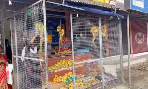 പഴക്കട കുത്തിത്തുറന്ന് അരലക്ഷം രൂപയുടെ പഴങ്ങൾ മോഷ്ടിച്ചു