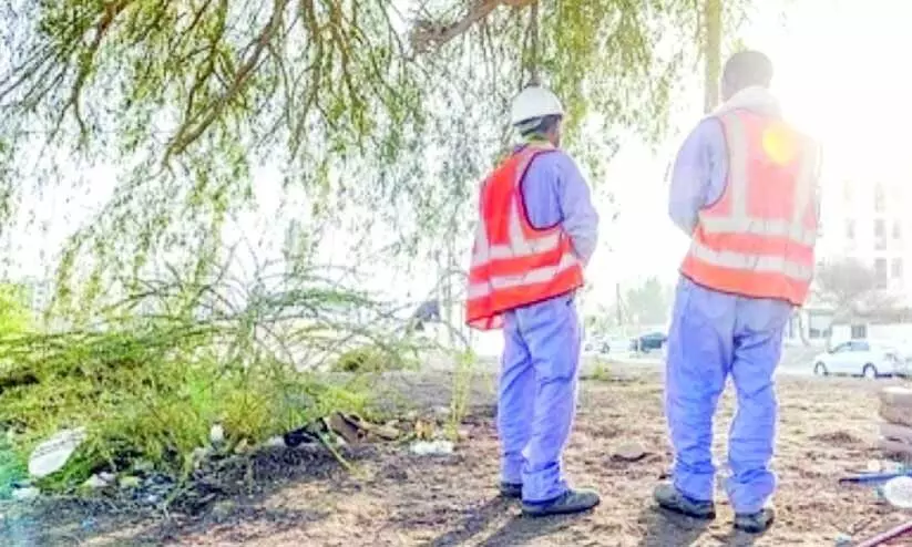 new employment act new employment act