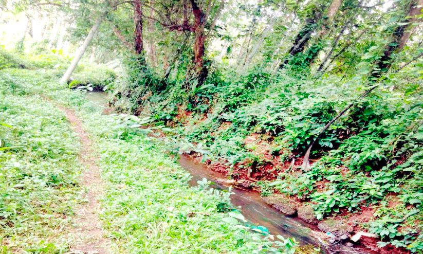 idathilthazham-kandiyoththazham idathilthazham-kandiyoththazham