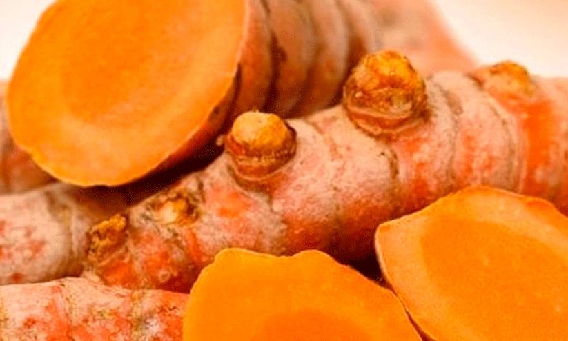 Wayanad turmeric,