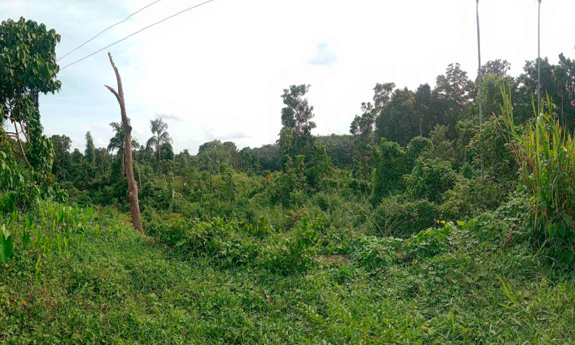 Taluk Hospital Building Taluk Hospital Building