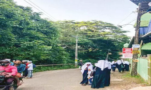 പാ​ത​യോ​ര​ത്ത് അ​പ​ക​ട ഭീ​ഷ​ണി​യാ​യി വ​ൻ​മ​ര​ങ്ങ​ൾ