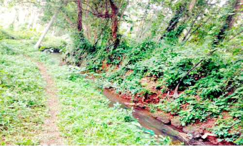 idathilthazham-kandiyoththazham idathilthazham-kandiyoththazham