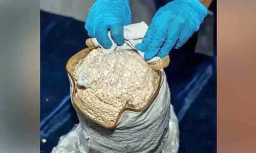 മ​യ​ക്കു​മ​രു​ന്ന് വേ​ട്ട; ഒ​ന്ന​ര ല​ക്ഷം ല​ഹ​രി ഗു​ളി​ക​ക​ൾ പി​ടി​ച്ചെ​ടു​ത്തു