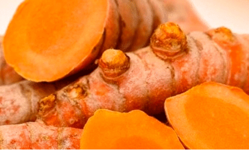 Wayanad turmeric,