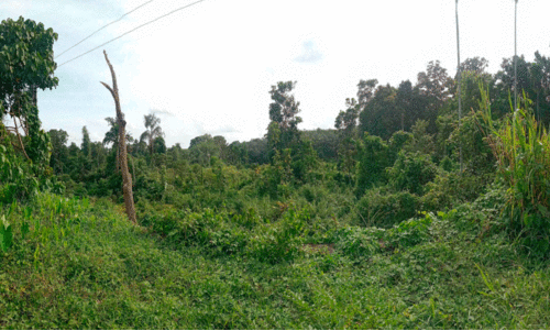 Taluk Hospital Building