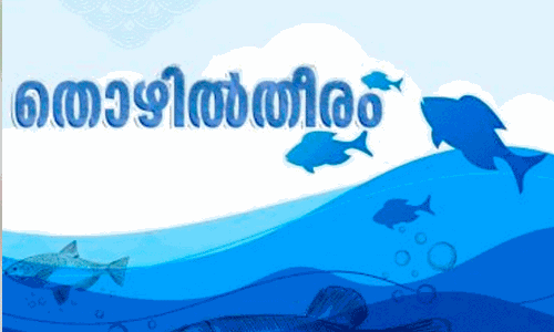 Thozhil theeram project