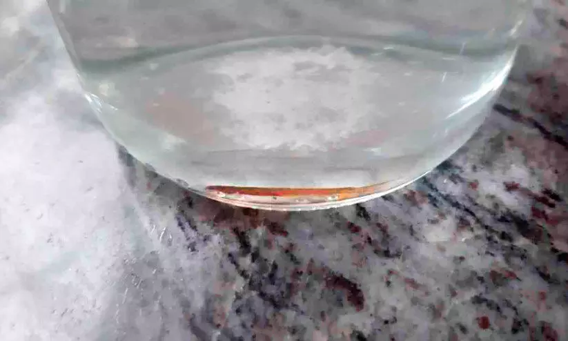 പന്നിക്കോട്ടൂരിൽ കണ്ടെത്തിയതും പാതാളമത്സ്യമെന്ന് വിലയിരുത്തൽ