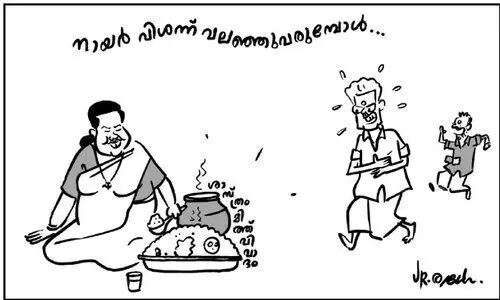 എൻ.എസ്​.എസ്​ നീക്കത്തിൽ രാഷ്ട്രീയ സമ്മർദ തന്ത്രം