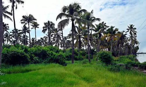 കരതൊടാതെ വാഗ്ദാനങ്ങൾ