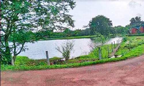 ബങ്കളത്തെ വെള്ളക്കെട്ടിന് വേണം സുരക്ഷാവേലി