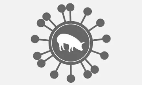 പ​ന്നി​പ്പ​നി: പ​രി​യാ​ര​ത്ത് പ​രി​ശോ​ധ​ന​യും ഇറച്ചി വി​ൽ​പ​ന നി​യ​ന്ത്ര​ണ​വുമില്ല