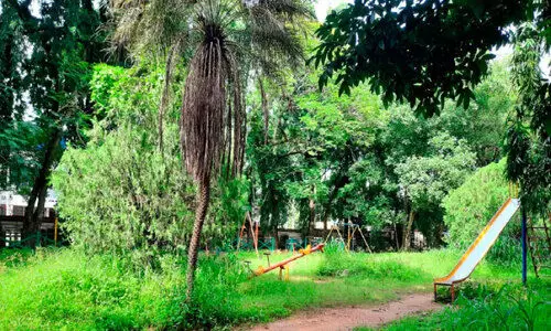 അ​യ്യ​ന്തോ​ൾ ക​ല​ക്ട​റേ​റ്റി​ന്​ മു​ന്നി​ലെ പാ​ർ​ക്ക് കാ​ടു​ക​യ​റി ന​ശി​ക്കു​ന്നു