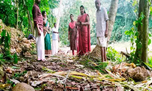 പുഴയും കടന്ന് കാട്ടാനക്കൂട്ടം; കല്ലാറിൽ വ്യാപക കൃഷിനാശം