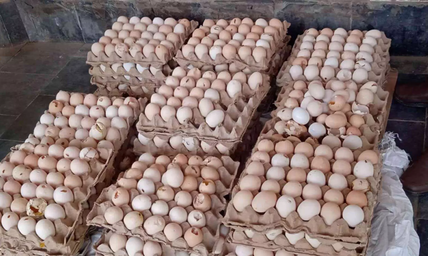 ബേക്കറിയിൽ ദുർഗന്ധം വമിക്കുന്ന 33 ട്രേ ചീമുട്ട; ആരോഗ്യ വിഭാഗം നശിപ്പിച്ചു