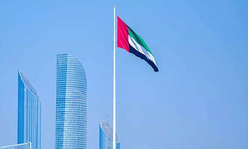 flowering plants flowering plants