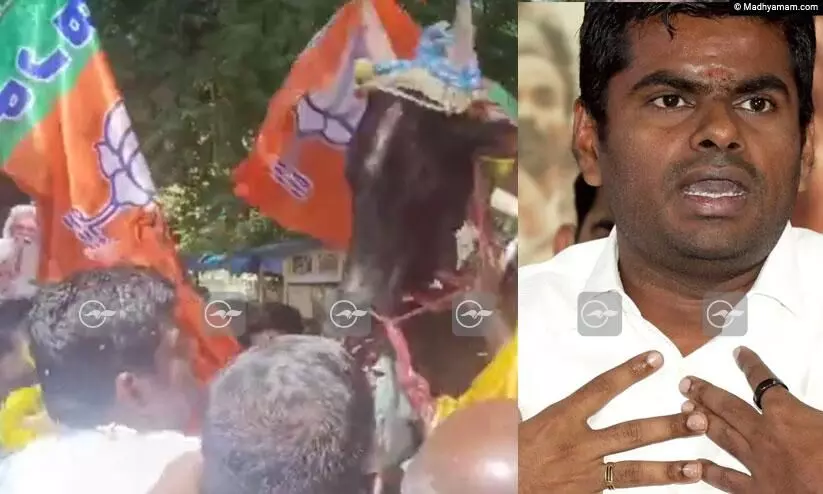 ബി.ജെ.പി തമിഴ്നാട് അധ്യക്ഷൻ അണ്ണാമലൈക്ക് നേരെ ചാടിയടുത്ത് ജല്ലിക്കെട്ട് കാള; പിടിച്ചുകെട്ടി പ്രവർത്തകർ ബി.ജെ.പി തമിഴ്നാട് അധ്യക്ഷൻ അണ്ണാമലൈക്ക് നേരെ ചാടിയടുത്ത് ജല്ലിക്കെട്ട് കാള; പിടിച്ചുകെട്ടി പ്രവർത്തകർ