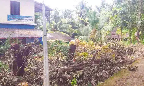 വി​ദ്യാ​ര്‍ഥി​ക​ള്‍ക്ക് ഭീ​ഷ​ണി​യാ​യ മ​രം വെ​ട്ടി​മാ​റ്റി