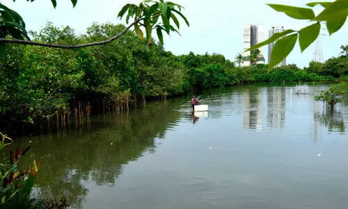 കൈ​യൊ​ഴി​യ​രു​ത്​, കൈ​യെ​ത്തും ദൂ​ര​​ത്തെ  ‘വൈ​രം’