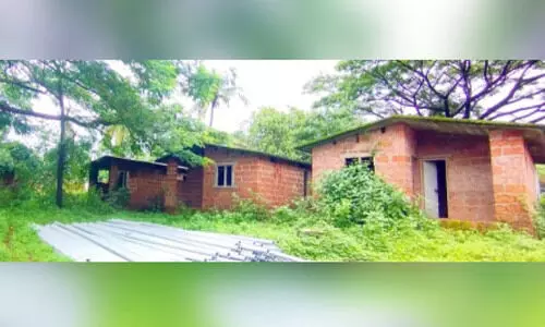 ചെട്ടിയാംപറമ്പിൽ ആദിവാസികൾക്കായി നിർമിച്ച വീടുകൾ കാട്കയറി നശിക്കുന്നു ചെട്ടിയാംപറമ്പിൽ ആദിവാസികൾക്കായി നിർമിച്ച വീടുകൾ കാട്കയറി നശിക്കുന്നു