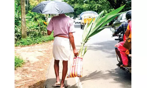 കാറൊഴിഞ്ഞു; ചൂടൻ പകലിലേക്ക് തൃ​ശൂ​ർ ജില്ല