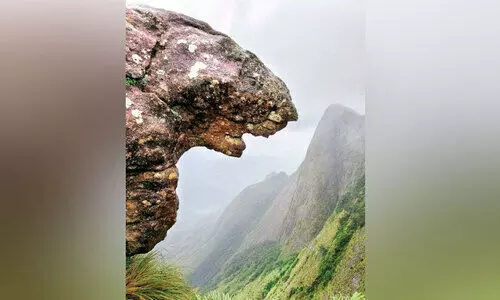 സ​ന്ദ​ർ​ശ​ക നി​രോ​ധ​ന നീ​ക്കം​; സൂ​ര്യ​നെ​ല്ലി​യി​ൽ സ​മ​ര​സ​മി​തി​ക്ക് രൂ​പം​ന​ൽ​കി