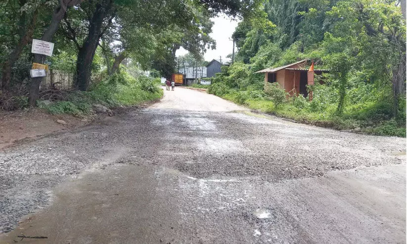 ക​ഞ്ചി​​ക്കോ​ട് വ്യ​വ​സാ​യ മേ​ഖ​ല​യി​ലെ കു​ഴി​യ​ട​പ്പ് പ്ര​ഹ​സ​നം