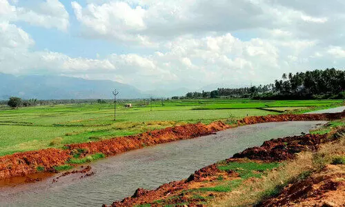 കർക്കിടകത്തിലും മഴയില്ല: ആശങ്കയിൽ അതിർത്തി ജില്ലകളിലെ കർഷകർ കർക്കിടകത്തിലും മഴയില്ല: ആശങ്കയിൽ അതിർത്തി ജില്ലകളിലെ കർഷകർ