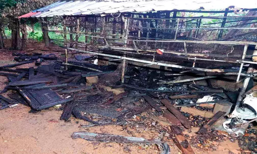 വീടിന് സമീപത്തെ ഷെഡ് കത്തിനശിച്ച നിലയിൽ വീടിന് സമീപത്തെ ഷെഡ് കത്തിനശിച്ച നിലയിൽ