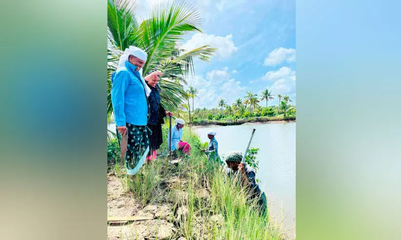 ക​നോ​ലി ക​നാ​ൽ തീ​ര​ത്തെ ക​ണ്ട​ല​ണി​യി​ക്കാ​ൻ