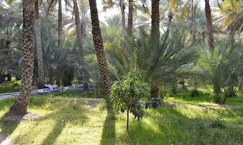 ച​രി​ത്ര​മു​റ​ങ്ങു​ന്ന അ​ൽ​ഐ​ൻ ഒ​യാ​സി​സ്