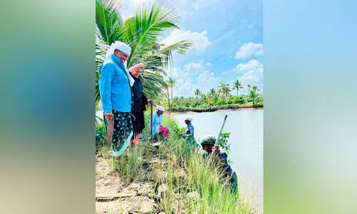 ക​നോ​ലി ക​നാ​ൽ തീ​ര​ത്തെ ക​ണ്ട​ല​ണി​യി​ക്കാ​ൻ