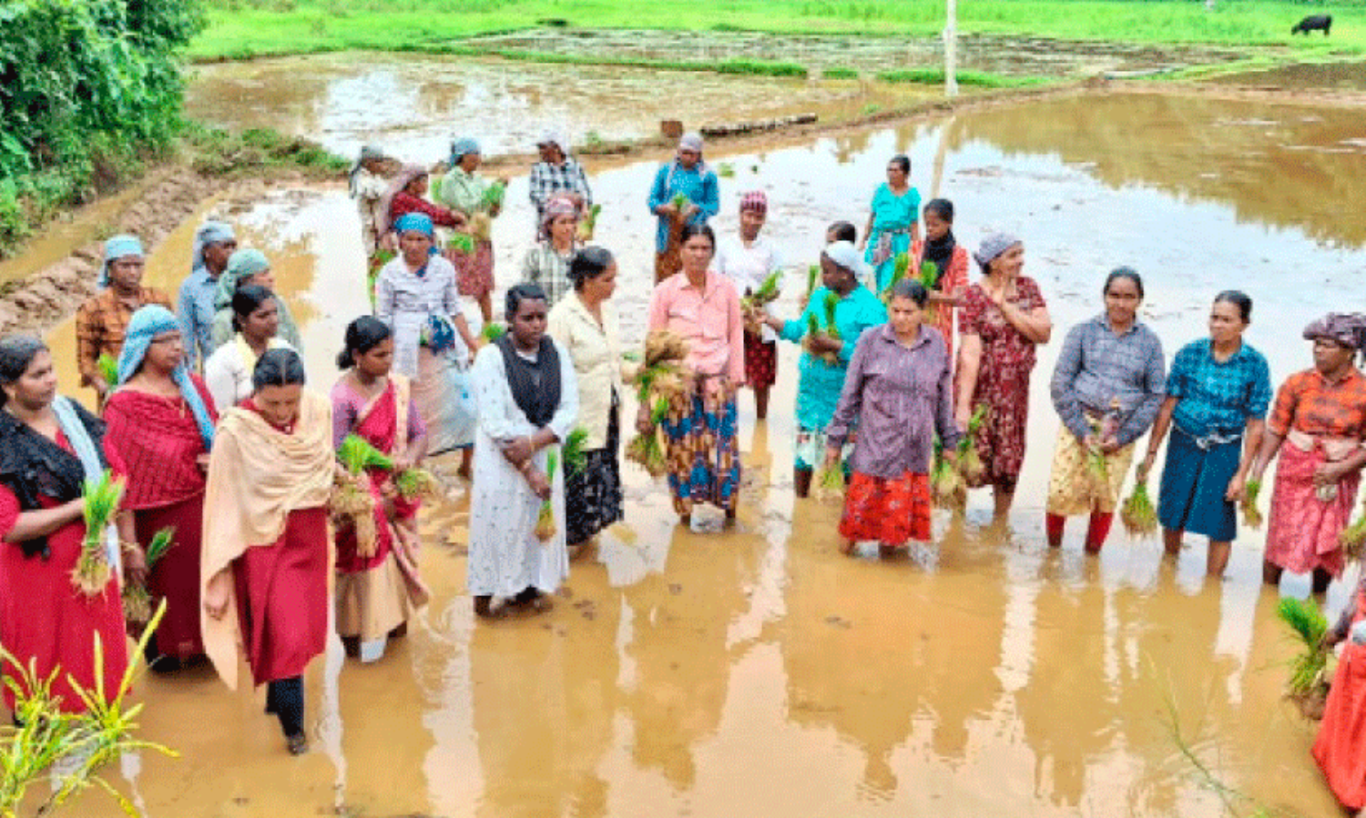 Kudumbashree workers